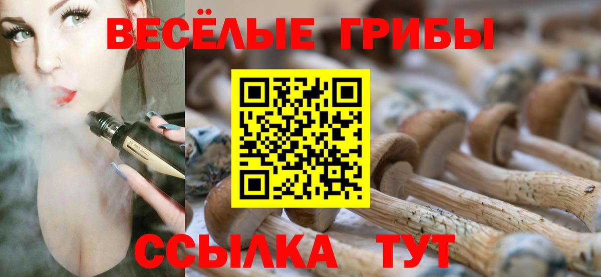 Псилоцибиновые грибы Cubensis Ангарск